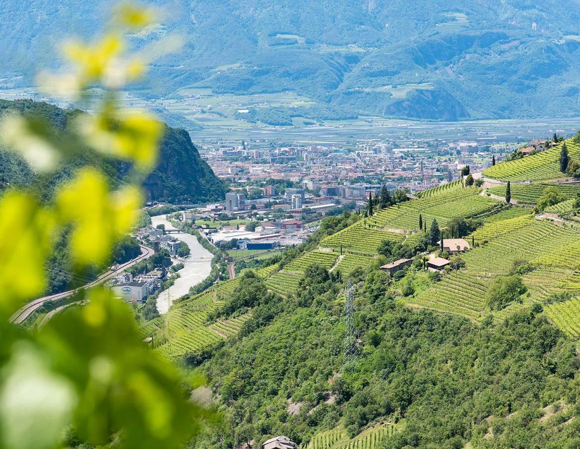 Weingut Schmid Oberrautner Apartment Suites Bolzano Luaran gambar